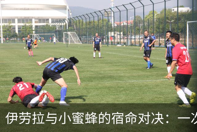 伊劳拉与小蜜蜂的宿命对决：一次次的“蜜”味教训